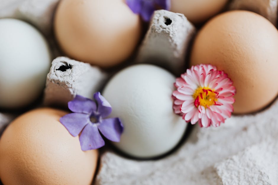  Eierkochen - Zeitabhängigkeit und Anleitung