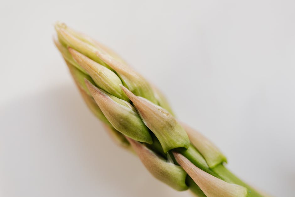 Weiße Spargeln kochen - Zeitangaben