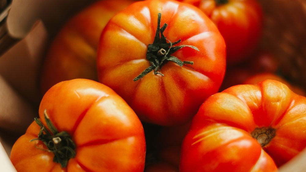 ernährung nach blinddarm op