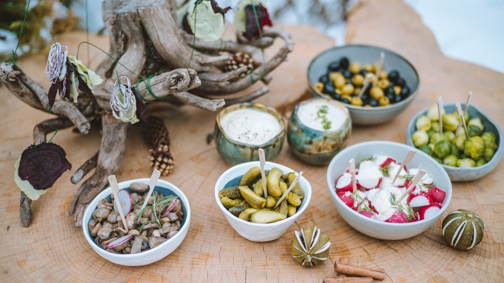 kochen für hunde rezepte