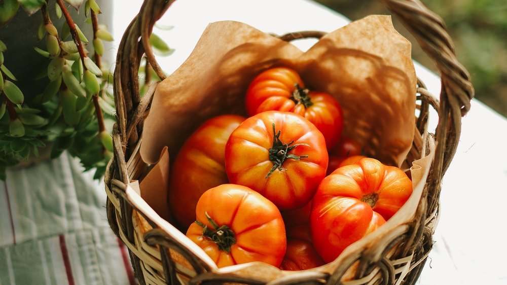 parenterale ernährung produkte