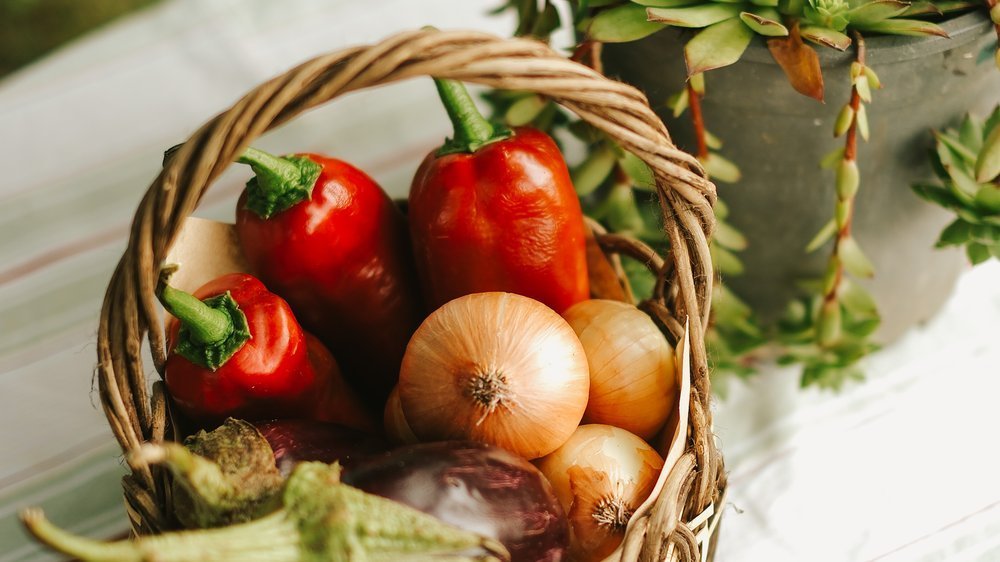 parenterale ernährung produkte