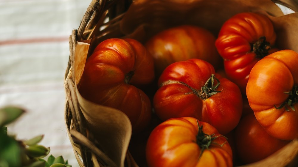 welpen ernährung