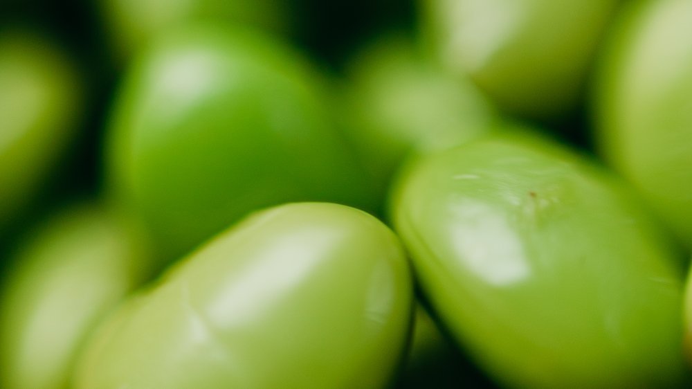 wie lange edamame kochen